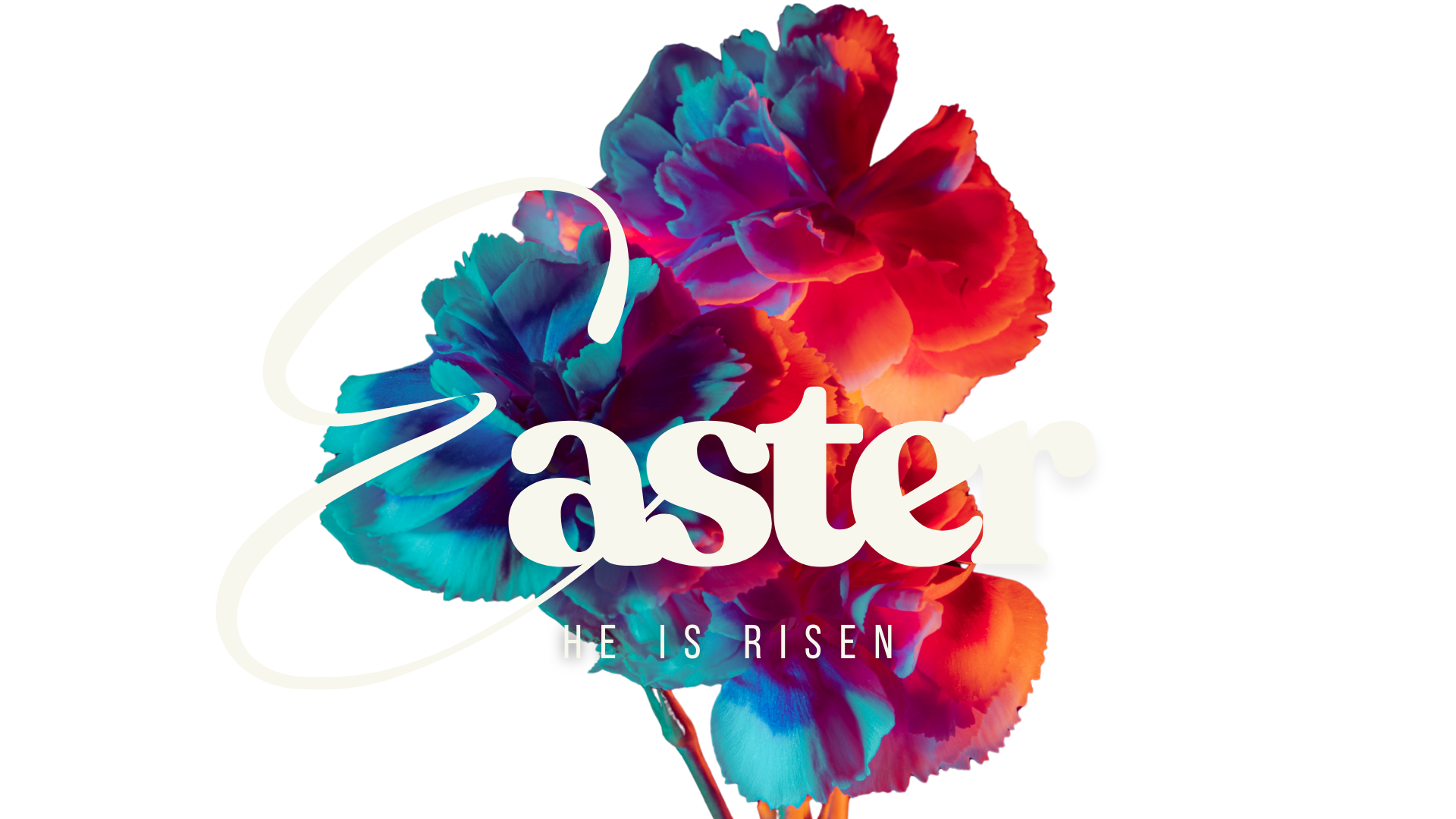 Easter 2026-3 Easter 2026-3