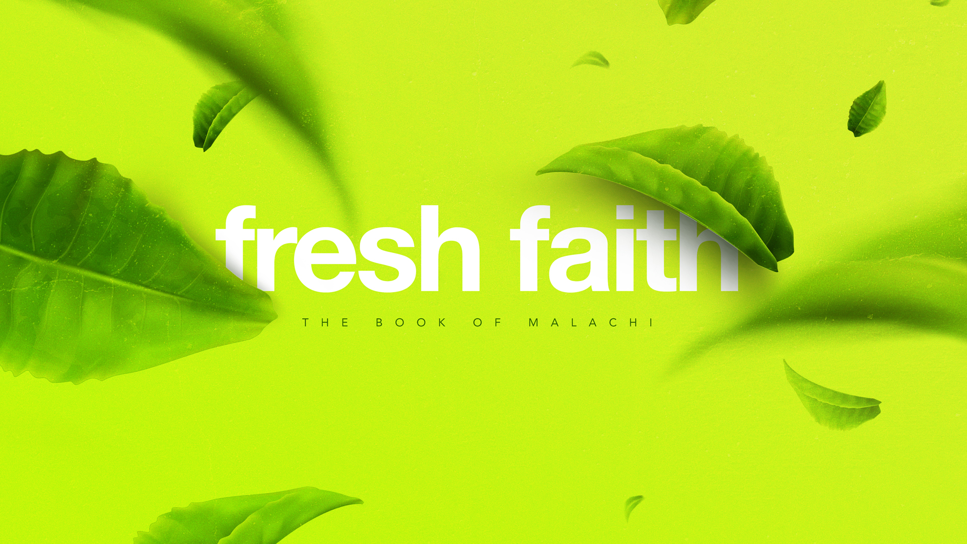 Fresh-Faith_Title-Slide